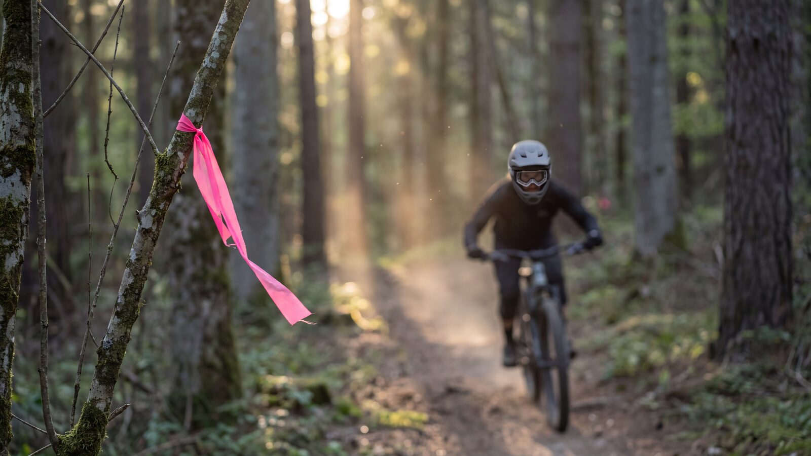 Immagine generata: sentiero nel bosco con un nastro segnaletico rosa legato a un ramo e un rider in discesa sullo sfondo